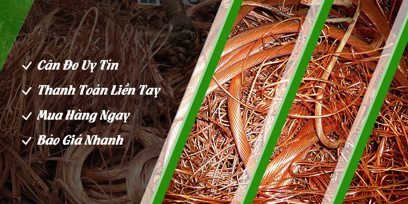 PHẾ LIỆU HOÀNG LONG